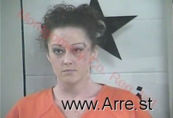 Sarah Nicole Palmer Mugshot