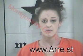 Sarah Nicole Palmer Mugshot