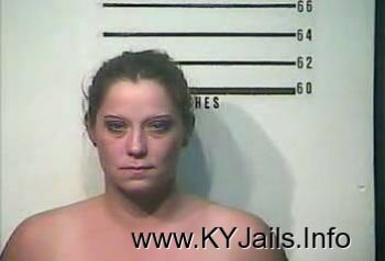 Shana Aileen Mason   Mugshot