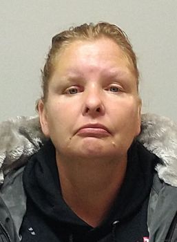 Sharon Kay Hamilton Mugshot