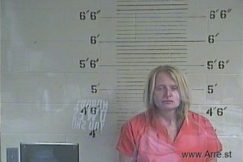 Sheena  Terry- Mcclain Mugshot