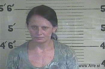 Sheena  Terry- Mcclain Mugshot