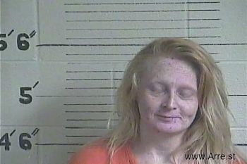 Sheena  Terry- Mcclain Mugshot