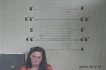 Sheena  Terry- Mcclain Mugshot