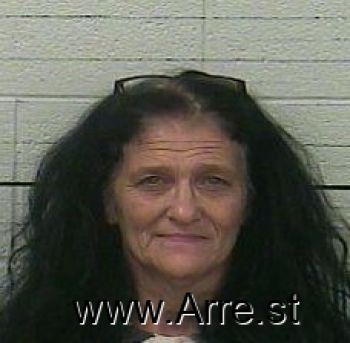 Sherry Lynn Watkins Baird Mugshot