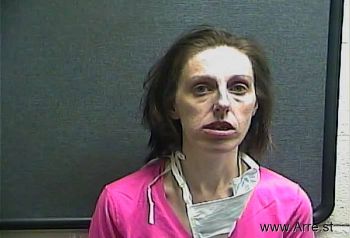 Stephanie Lee Bell Mugshot