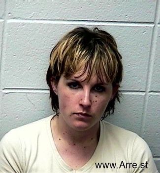 Susan Lynne Anderson Mugshot