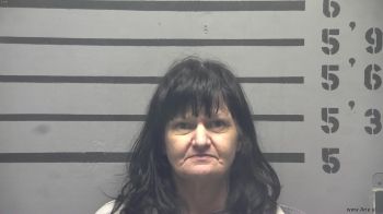 Susan  Hudson Mugshot