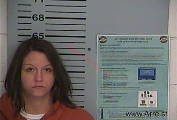 Tamara Anne Gipson Mugshot