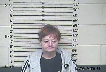 Tami Jo Risner Mugshot