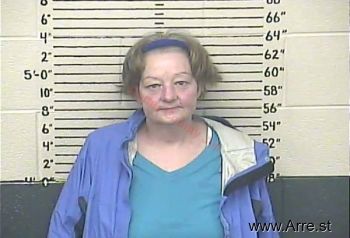 Tami Jo Risner Mugshot