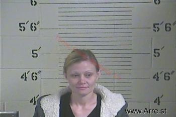 Tammy R Elkins Mugshot