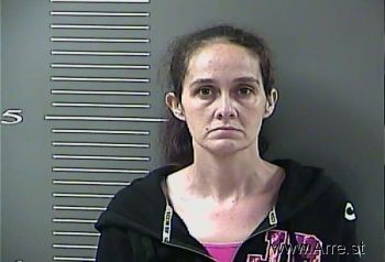 Tammy Lynn Johnson Mugshot