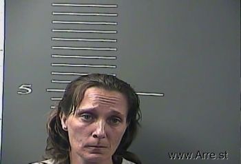 Tammy Lee Johnson Hicks Mugshot