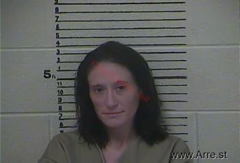 Tammy  Jones Mugshot