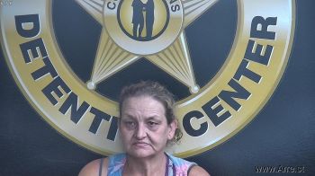 Tammy  Payne Mugshot