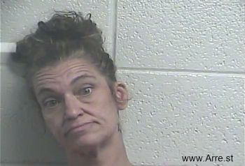 Tammy M Sterner Mugshot