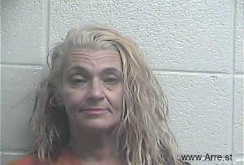 Tammy M Sterner Mugshot