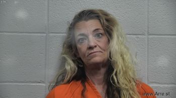 Tammy M Sterner Mugshot