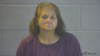 Tammy Barbara Sullivan Mugshot