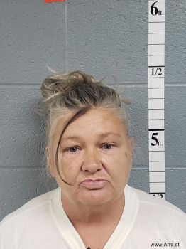 Tammy Jo Ward Mugshot