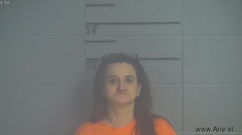 Tammy L Weaver Mugshot