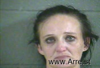 Tara Renee Johnson Mugshot