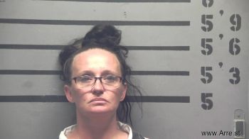 Tara Renee Johnson Mugshot