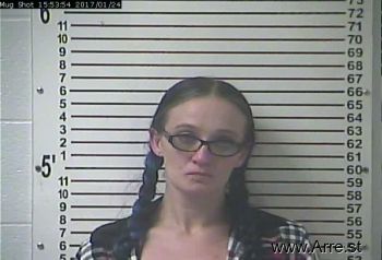 Tara Renee Johnson Mugshot