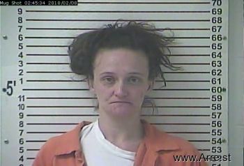 Tara Renee Johnson Mugshot