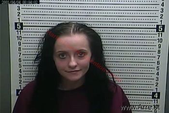 Taylor  Stephens Mugshot