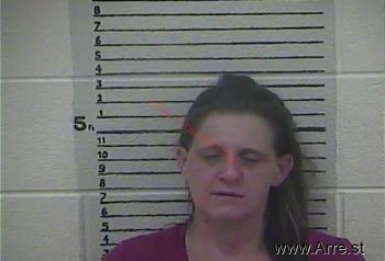 Teresa  Minton Mugshot