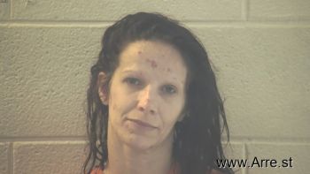 Teri Lynn Eden Mugshot