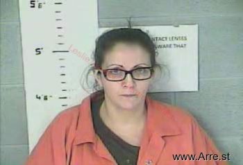 Terri Ann Collins Mugshot