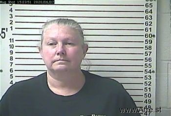 Terri Sue Martin Mugshot