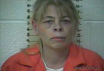 Terry Lynn Collins Mugshot