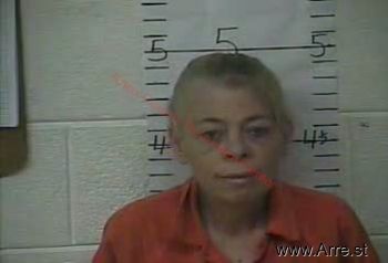 Terry Lynn Collins Mugshot