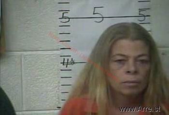 Terry Lynn Collins Mugshot