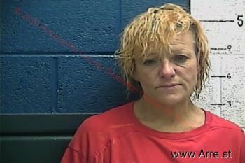 Terry Lynn Hensley Mugshot