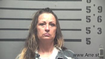 Terry Jo Wells Mugshot