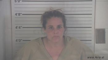 Tiffany Jo Baldwin Mugshot