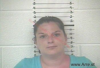 Tiffany R Botkins Mugshot