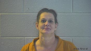 Tiffany Dawn Evans Mugshot