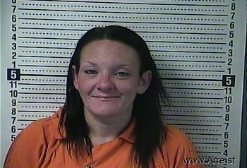 Tiffany Gayle Franklin Mugshot