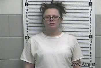 Tiffany L Poynter Mugshot