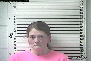 Tina Renee Frye Mugshot