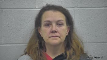 Tina Louise Johnson Mugshot