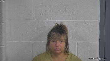 Tina J Mullins Mugshot