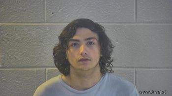 Tony Lee Collins Mugshot