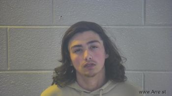 Tony Lee Collins Mugshot